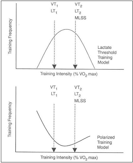 training intensity distributions
